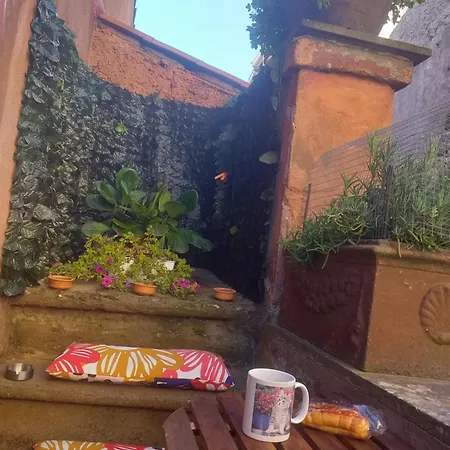 A Due Passi Dal Castello 비냐넬로